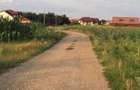 Teren Ghermanesti-Ciofliceni, Snagov, Str. Stefanita Voda, negociabil - 5