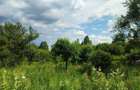 Oportunitate in Breaza | 2 Vile / Pensiuni | Potential Turistic - 1