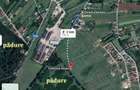 Teren intravilan zona padurii Snagov, curent, asfalt, gaz, 15000 euro fara TVA - 2