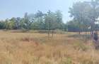 Teren de 7000 mp, în Dor Mărunt - 9