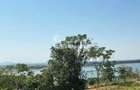 | Apartament cu 6 camere | 172 mp | Mobilat si Utilat complet | Faleza | - 9