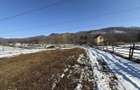 Teren intravilan 4521mp langa padure-valea Doftanei -Calea Brasovului - 4