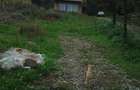 Casa de vacanta in zona pitoreasca pe DN1A intre Valenii de Munte si Cheia - 2