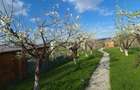 Cabana cu livada,Sali?te,Sibiu. - 5