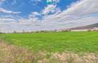 Teren extravilan, 1 ha, in ora?ul Sebi?, Arad - 10