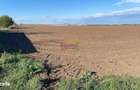 Vand teren intravilan comuna Dascalu 1,8 ha cu deschidere de 50 ml - 4