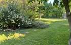 Zona Ghencea Sos Alexandriei Domeniu privat 2090mp cu piscina