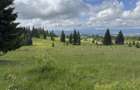 TEREN EXCEP?IONAL 2 Ha PE VIA TRANSILVANICA IN BUCOVINA - 4