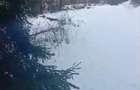 Teren langa padure 8179 mp , cu izvoare de munte - 7