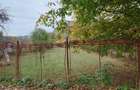 Teren intravilan 2500mp Criscior