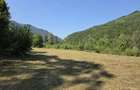 Vand teren intravilan 5.000 mp Sat Brate?, Com. Tarcau, Jud. Neam? - 3
