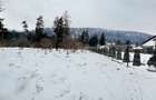 Teren intravilan - Sacele - Brasov