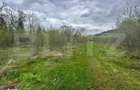 Proprietate cu potential pentru sali evenimente-hotel-restaurant, Fras - 2