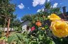 Casa si gradina-89000euro-Picioru Lupului-Comuna Ciurea