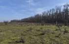 Teren intravilan 950 mp | POT 50% | CUT 2,2 | Zona Oxford Gardens