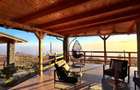Cabana de vânzare – oportunitate de business / casă de vacanță – Transapuseana - 8