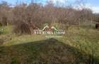 NECTORA IMOB-Teren Intravilan Zona Facliei, Teren Plat,460 mp,F:29 ml