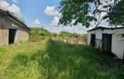 Csa 3 camere in Macea - ID : RH-37664-property - 4