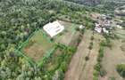 Teren de 8000 mp, în Runcu - 1