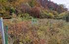 Teren intravilan, 500 mp, Sacele, Brasov