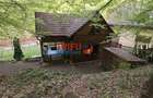 Casă de vacanță la pădure | Teren 891 mp | Valea Ighielului - 11