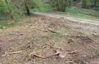 Teren de vanzare in suprafa?a de 5.5 ha