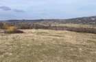 Teren intravilan 11.300mp, Barnova, cu acces auto si front stradal - 2