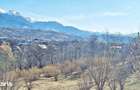 Comision 0%! Teren superb de 17000mp la 5 min de Castelul Bran, 13 eur - 15