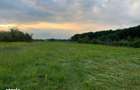 Teren de vanzare in Com. Vedea , sat Varsesti jud.Arges