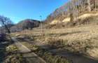 Teren Intravilan de 1150m in zona Timi?u de Jos, pre? negociabil - 1
