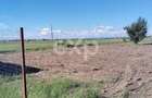 Teren de vanzare Bradu, Arges | 303 mp | 9.900 - 2