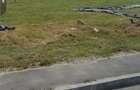 Vand 5300 mp teren de construit in Rovinari, pretabil comert, srvicii, locuinte... - 5