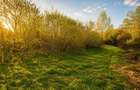 Teren 1.700 mp intravilan, intre case, potential dublu, Lunca Calnicul - 8