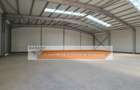 Hala noua Pitesti depozit-distributie, S=600 mp, H=6m - 2
