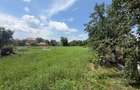 Teren de 3899 mp, în Filipeștii de Pădure - 1