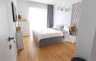 Apartament 2 camere de inchiriat Herastrau - 4