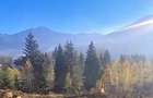 Teren intravilan,intabulat,Borsa Maramures 3900mp 50000 - 1