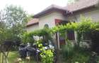 Vand casa locuibila in com. Giubega jud. Dolj - 1