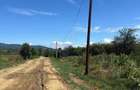 Teren de vanzare Calimanesti - Valcea