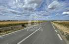 Teren 55.000 mp, front stradal 354 ml, asfalt, Remetea Mare -Ianova. - 2