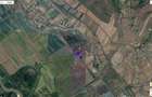 Teren extravilan, Cotofenii din Fata, jud Dolj -id 6954-0... - 8