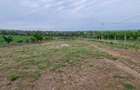 Teren intravilan, pozitie superba - 3800m2 cu Utilitati pe teren - 2