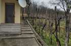 Casa cu podgorie, Fratostita - 9