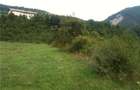 Vand teren intravilan 1,4 ha, Mehadia, Caras-Severin - 4
