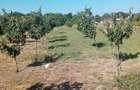 Vanzare teren intravilan - 2