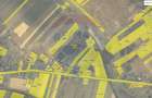 Teren intravilan 2,036mp Padureni-Sendriceni, Botosani - 2