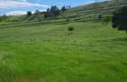 TEREN Calinesti Arges-Pitesti-Topoloveni