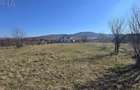 Teren intravilan 1.250 mp Unirea, BN