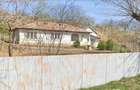 Galati Beresti - De vanzare 1 hectar plantatie de vita de vie si casa cu utilitati - 2