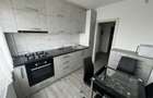 Apartament 2 camere Micalaca - 3